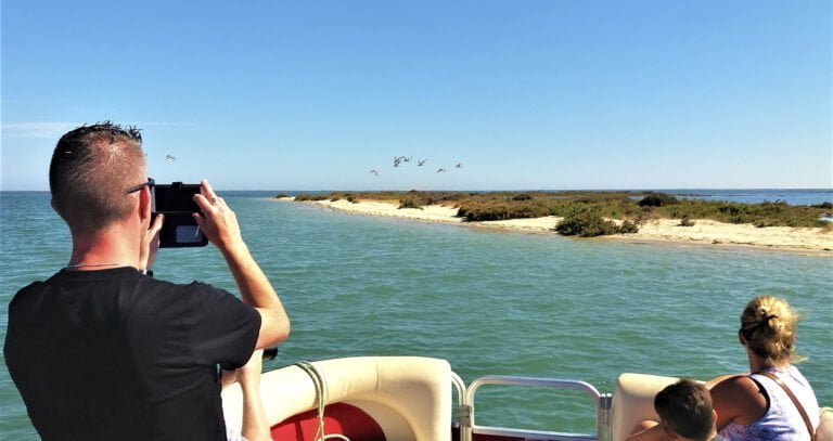 Ria formosa natural park birdwatching islands tour deserta farol faro