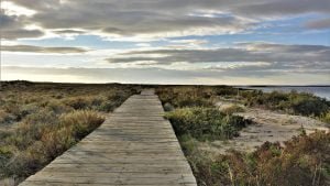 ria formosa ilha deserta