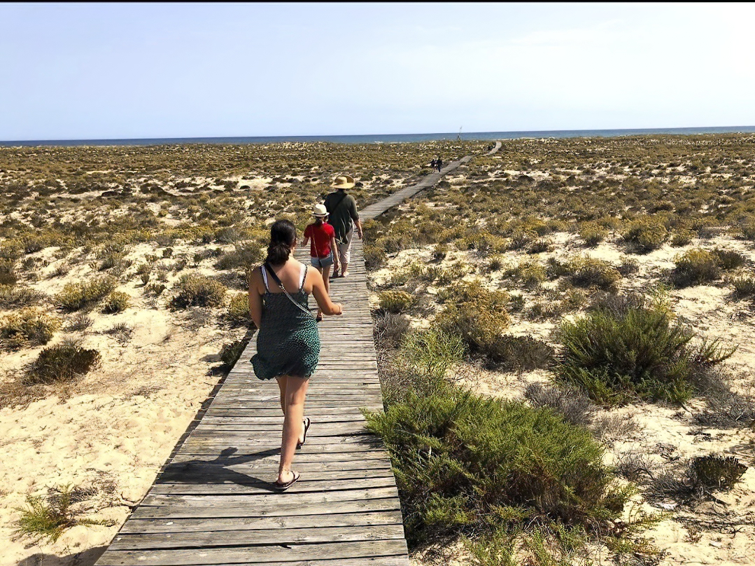 ilha deserta solo travelers